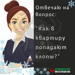 ВОПРОС Я постоянно убираюсь в квартире, стираю вещи. Дома чистота, а клопы появились. Откуда?