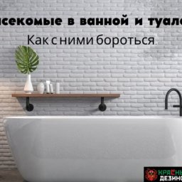 Насекомые в ванной и туалете. Как с ними бороться. Насекомые в ванной и туалете. Как с ними бороться.