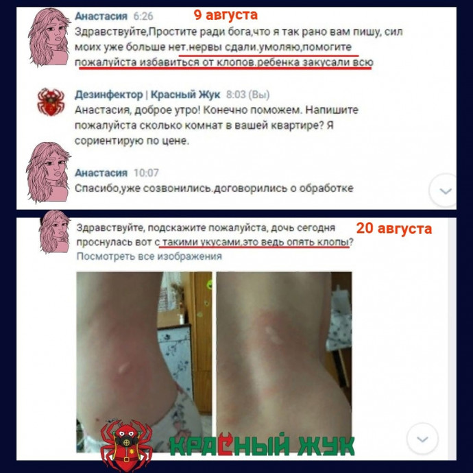 Отзыв Анастасии после обработки от клопов