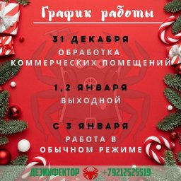 График работы в новогодние праздники