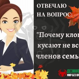 ВОПРОС. Мы с мужем и ребенком спим в одной комнате. Почему меня и ребенка кусают, а мужа- нет?