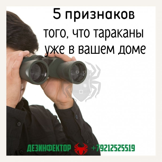 5 Признаков, что тараканы уже в вашем доме.