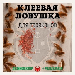Клеевая ловушка для тараканов. Клеевая ловушка для тараканов.