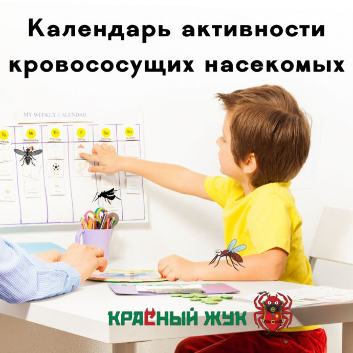Календарь активности кровососущих насекомых