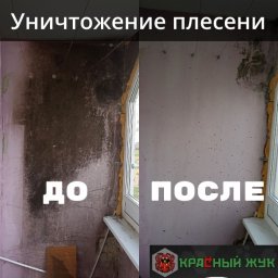 Удаление плесени на лоджии - результат
