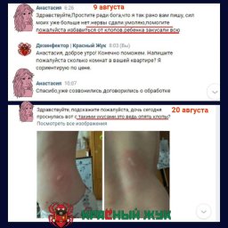 Отзыв Анастасии после обработки от клопов